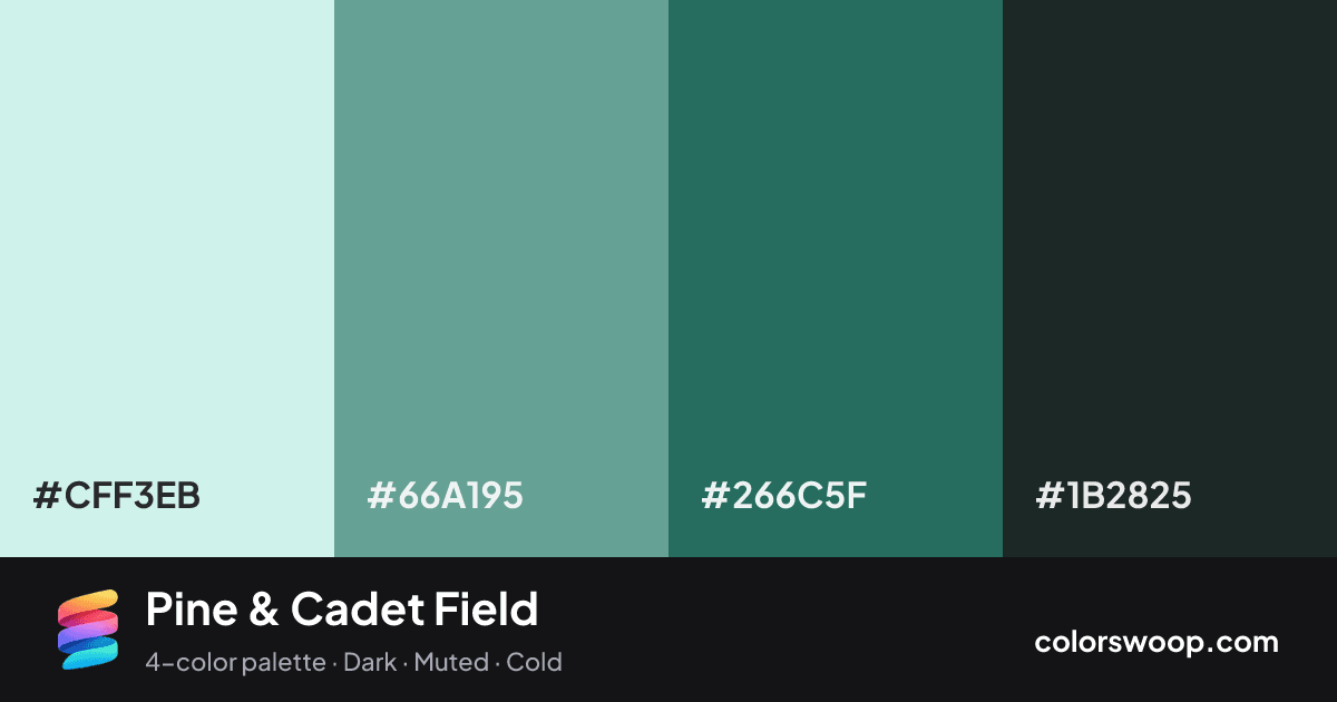 Pine & Cadet Field color palette card: Ice #CFF3EB, Cadet #66A195, Pine #266C5F, Raisin #1B2825