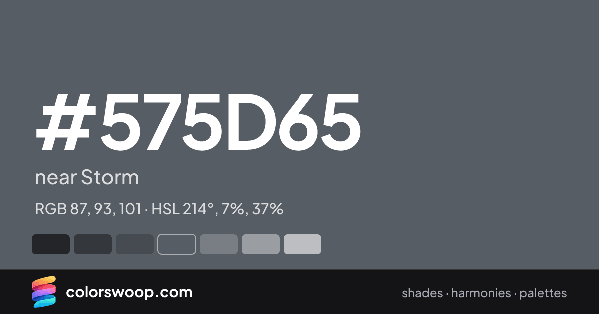 #575D65 hex color card: near Storm, RGB 87, 93, 101