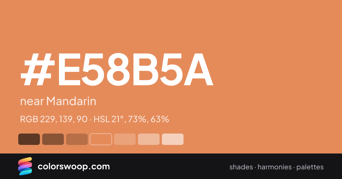 #E58B5A hex color card: near Mandarin, RGB 229, 139, 90