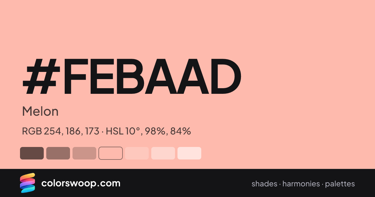 #FEBAAD hex color card: Melon, RGB 254, 186, 173